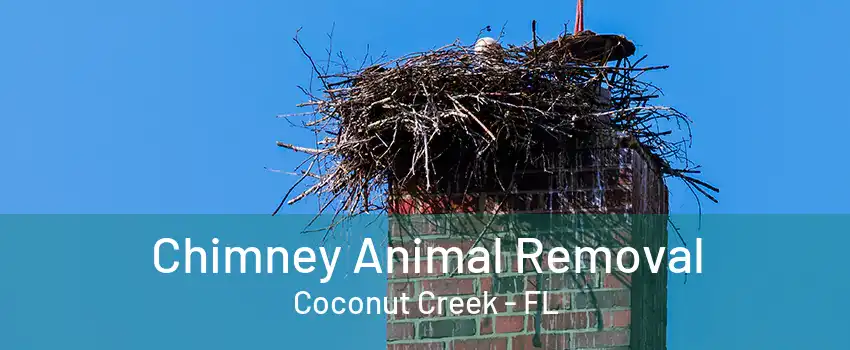 Chimney Animal Removal Coconut Creek - FL