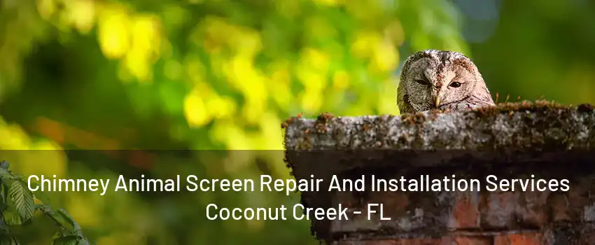 Chimney Animal Screen Repair And Installation Services Coconut Creek - FL