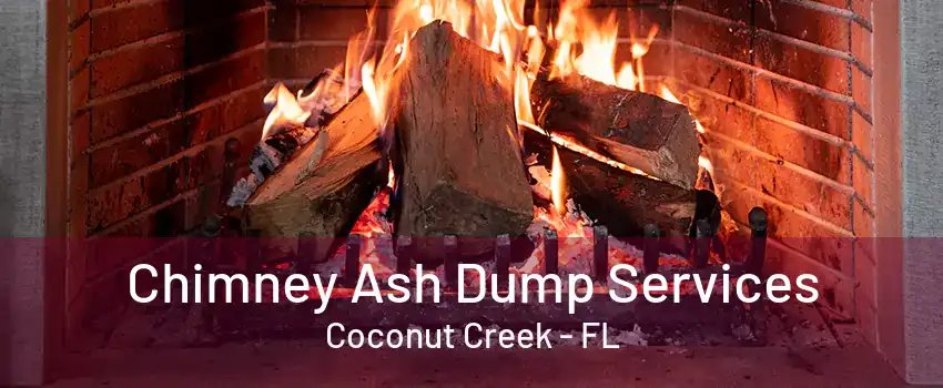 Chimney Ash Dump Services Coconut Creek - FL