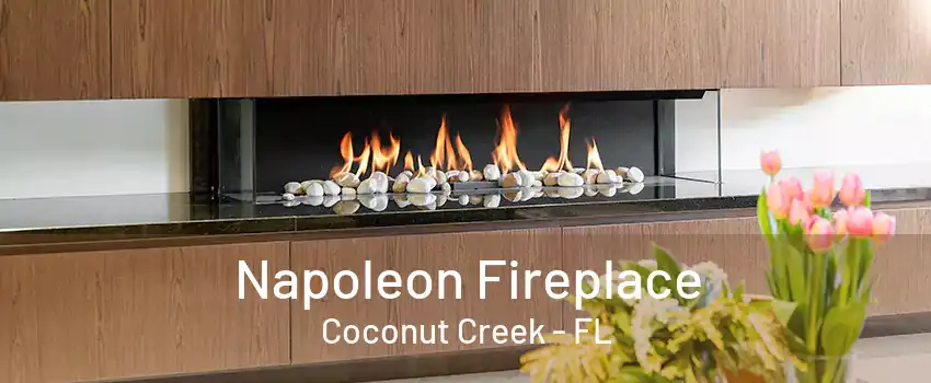 Napoleon Fireplace Coconut Creek - FL